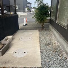 お庭の木の整理しませんか？