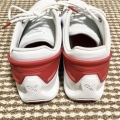 PUMAフェラーリ(28㎝)の画像