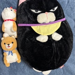 決まりました　
ぬいぐるみの画像