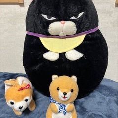 決まりました　
ぬいぐるみ