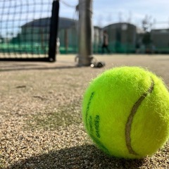 社会人テニスサークル🎾 - 世田谷区