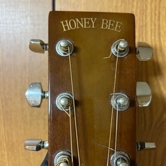 アコギ　HONEY BEE 　F15/Nの画像