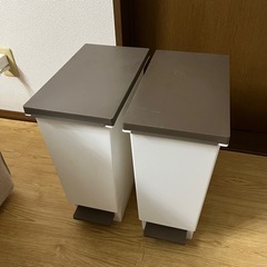 ゴミ箱　ペダル式　20L×2個セット