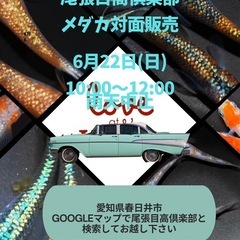 6月22日(日)メダカ対面販売12時終了