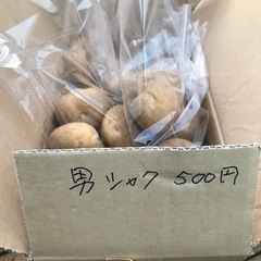 新じゃが（男爵・北あかり・メークイン）の画像