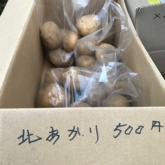 新じゃが（男爵・北あかり・メークイン）の画像