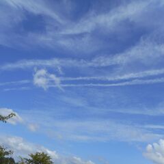 今年の夏！花火大会・ユニバなどに一緒に行ける方募集