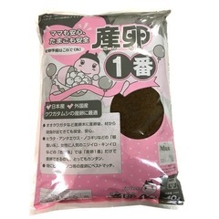 産卵1番10L、余っていたら買い取らせてください！