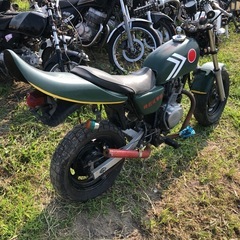 ホンダ　エイプ50インジェクション　書類付実働ベース車の画像