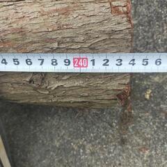 丸太🪵240cm太さ10cmぐらい