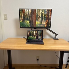 Flexispot e9 ナチュラルウッド　取扱説明書付