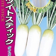 【ほぼ無農薬】割れてしまったダイコンの画像