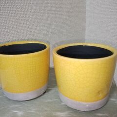 未使用　DULTON　植木鉢２個セット（サボテン等の観葉植物）