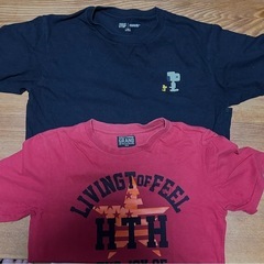 男児　Tシャツ、ズボンの画像