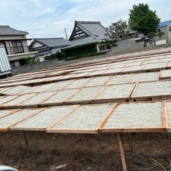 淡路島西海岸グルメちりめんじゃこ今が旬 - 淡路市