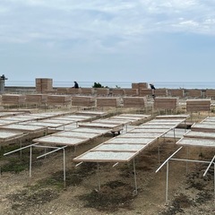 淡路島西海岸ちりめんじゃこ今が旬