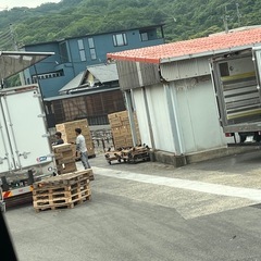 淡路島西海岸グルメちりめんじゃこ今が旬 - 地元のお店
