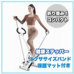 【新品】ステッパー 折りたたみ 足踏み健康器具 ツイストエアロス...
