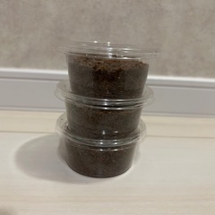 【大幅値下げ】ニジイロクワガタ幼虫①3頭セット