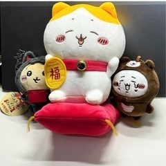 ハチワレ福猫の画像