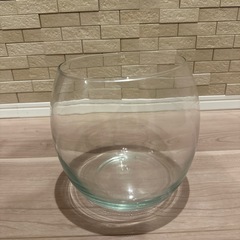 水槽　ガラス　金魚　メダカ　など