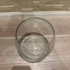 水槽　ガラス　金魚　メダカ　などの画像