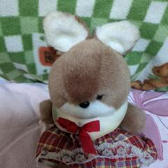 ぬいぐるみの画像