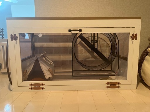 ハリネズミ飼育セット