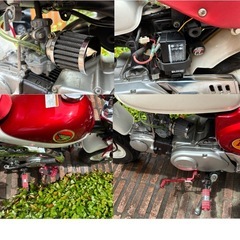 綺麗です。モンキー　z50j  車体の画像