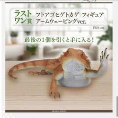 一番くじ　ラストワン　フトアゴヒゲトカゲ　爬虫類