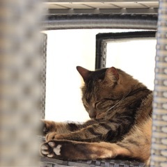 カメラ好きな人📷 - 台東区