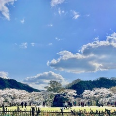 リフレッシュヨガ🧘‍♂🌅✨