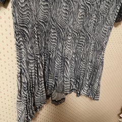 プリーツtopsの画像