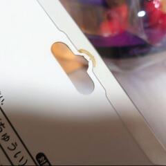 フィギュアリン ミッキーの画像