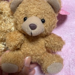 くま　ぬいぐるみ　2点の画像