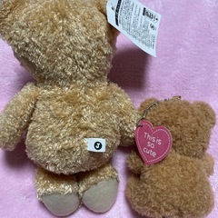 くま　ぬいぐるみ　2点の画像