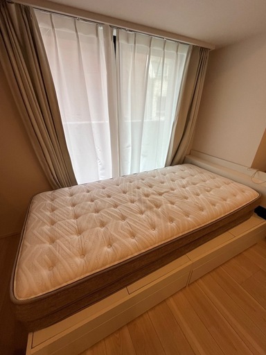 ニトリ  シングルマットレス(Nスリープ プレミアムP1-02CR VH)