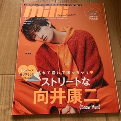 向井康二　雑誌　まとめて5冊セットの画像