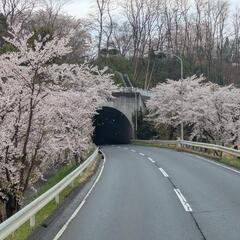 ラインから仲良くなれる人募集中です😊