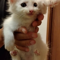 見学希望の方ご相談ください😊玉名市