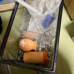 水槽の画像