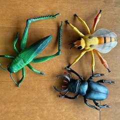 どデカい昆虫おもちゃの画像