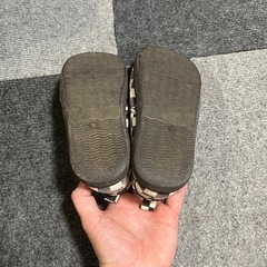 チャンピオン靴、瞬足？、ゼブラ柄の靴の画像