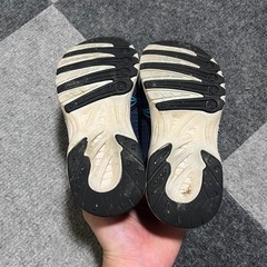 チャンピオン靴、瞬足？、ゼブラ柄の靴の画像
