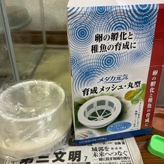 GEX水槽・ポンプ他いろいろ３２点セットの画像