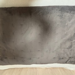(受付終了)無印　敷きパッド (シングル)