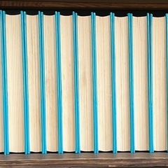 【ふりがなつき】世界伝記全集　１９冊　偉人　受験　歴史　世界　日本　講談社　知育　の画像