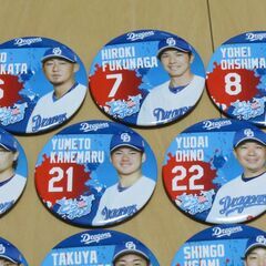 中日ドラゴンズ どらポジ応援！缶バッジ 21種セットの画像