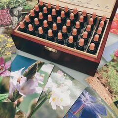 自己肯定感を高める、花の処方箋　フラワーエッセンスセッション - 福岡市