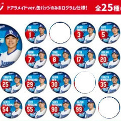 中日ドラゴンズ どらポジ応援！缶バッジ 21種セットの画像